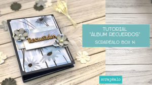 Tutorial Álbum de Recuerdos con la Scrapéalo Box 14