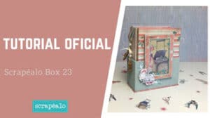 Tutorial Oficial Scrapéalo Box #23