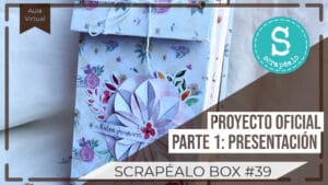 Tutorial Oficial Scrapéalo Box #39
