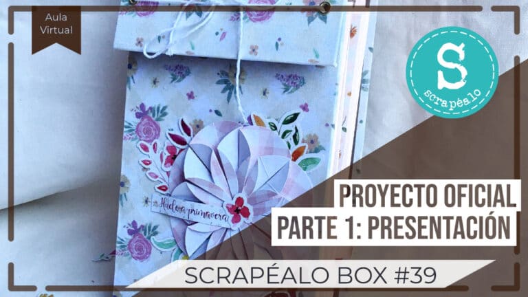 Tutorial Oficial Scrapéalo Box #39