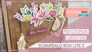 Tutorial Oficial Scrapéalo box Lite 3